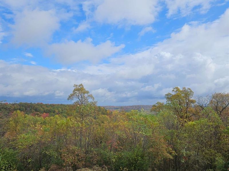 4790 Jester Hill Road, Paxton Twp, OH 45612 Photo 43