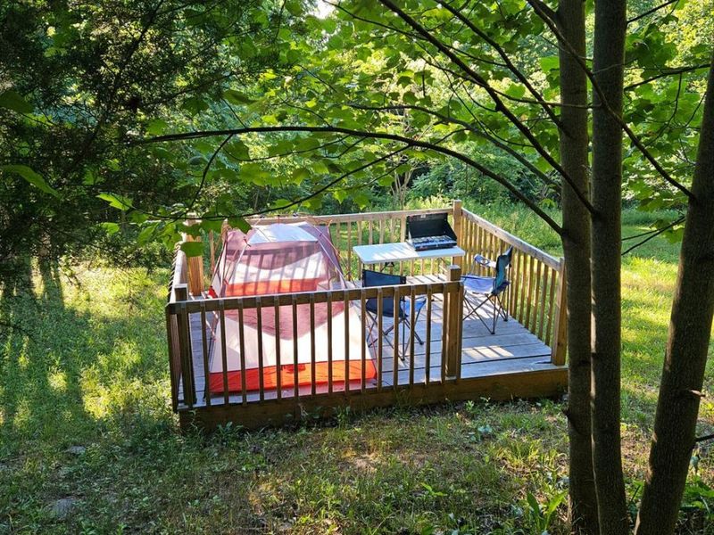 4790 Jester Hill Road, Paxton Twp, OH 45612 Photo 44