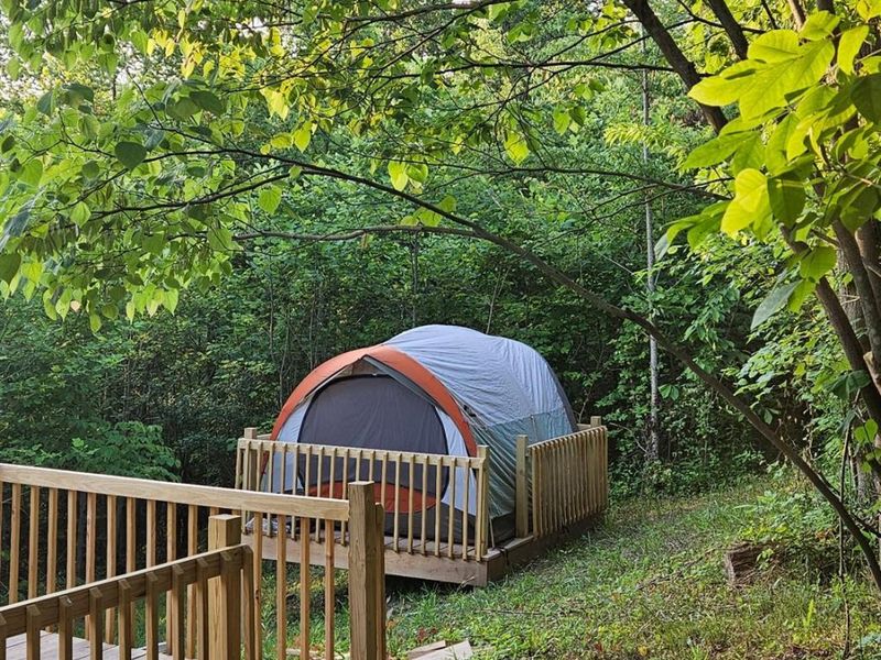 4790 Jester Hill Road, Paxton Twp, OH 45612 Photo 46