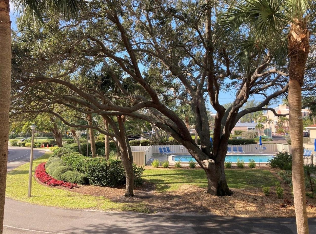 4600 Gulf Of Mexico Drive, Unit 206, Longboat Key, FL 34228 Photo