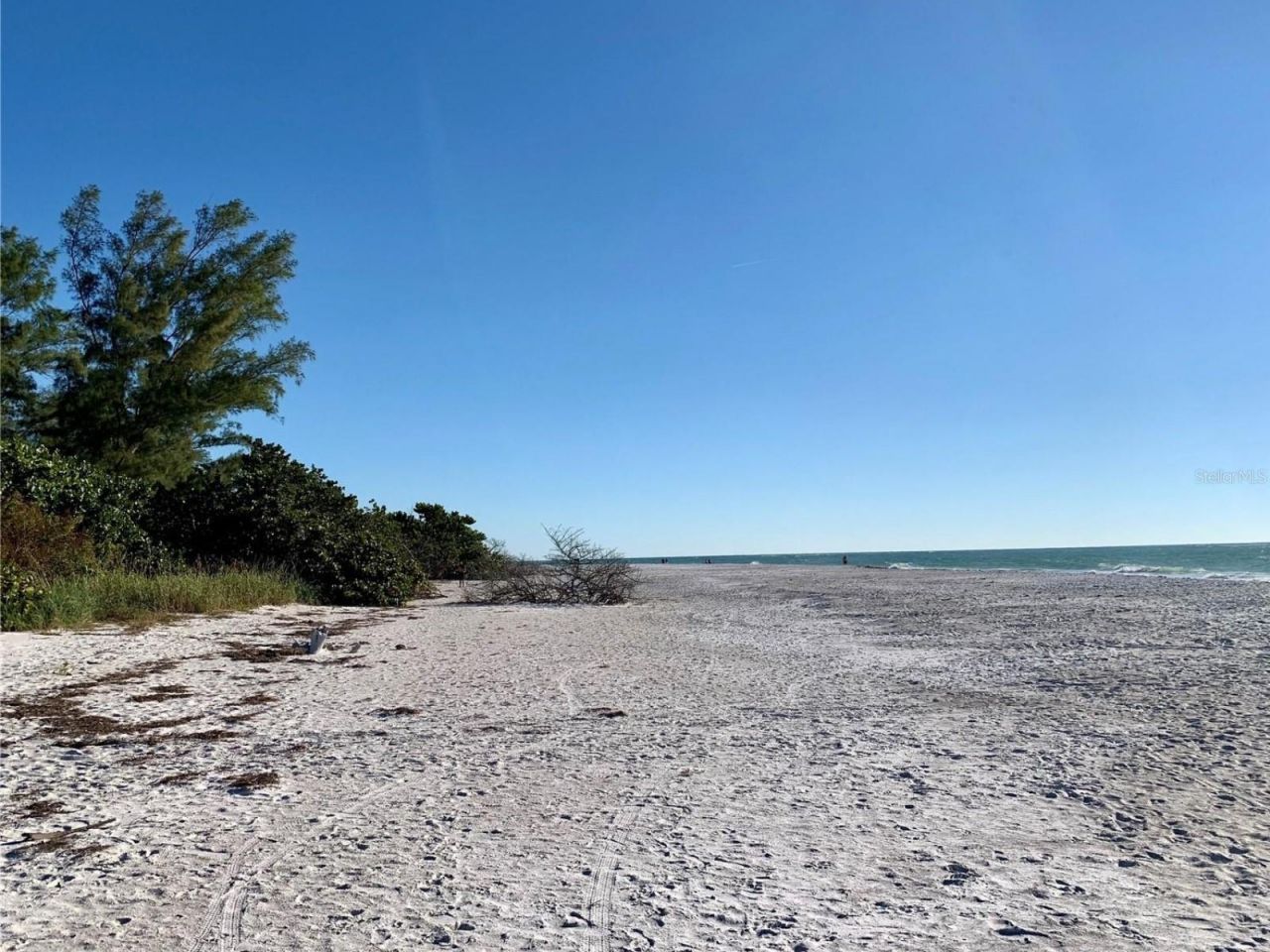 1212 Center Place, Sarasota, FL 34236 Photo