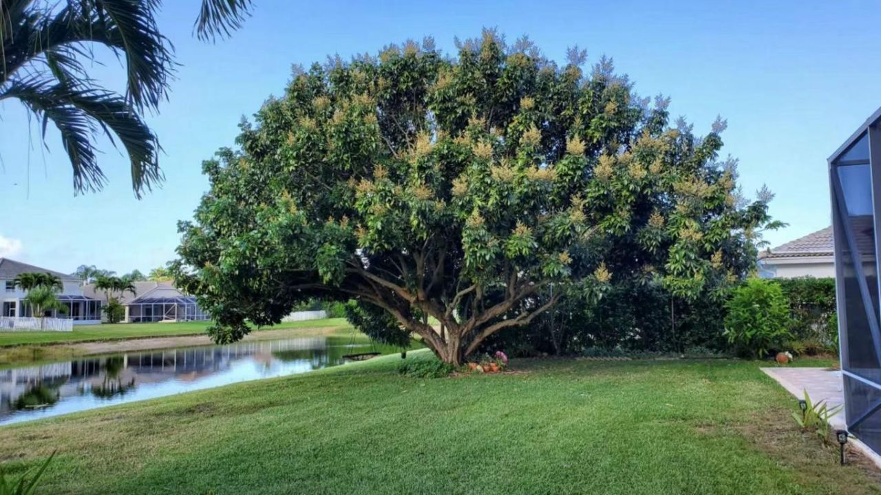 11174 Winding Pearl Way, Wellington, FL 33414 Photo