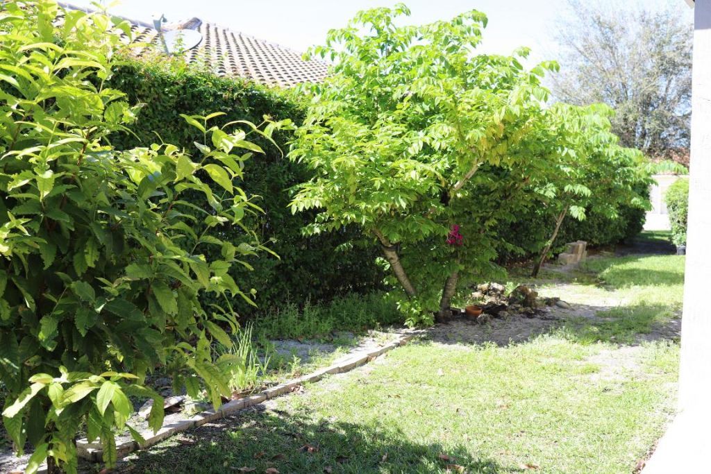 11174 Winding Pearl Way, Wellington, FL 33414 Photo