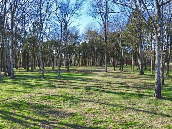 8649 Taliaferro Rd, Eagleville, TN 37060