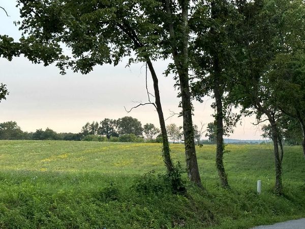 TBD Smith Mountain, Rockwood, TN 37854