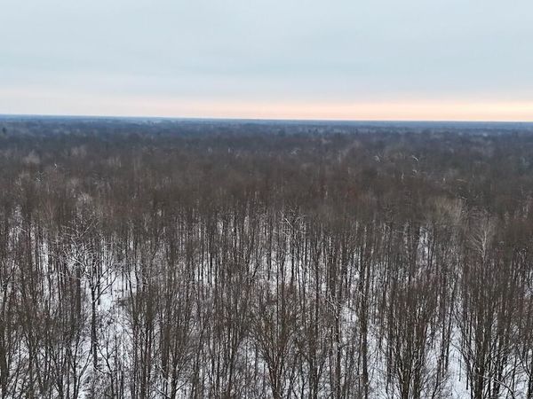 N Magruder Road, Coleman, MI 48618