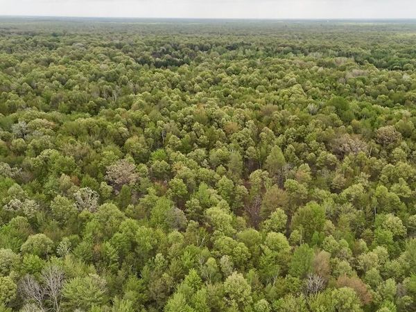 N Magruder Road, Coleman, MI 48618