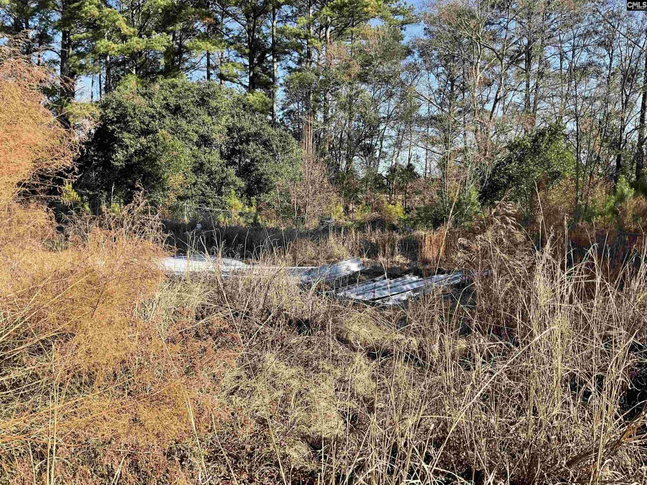 14763 Carolina Highway Photo 9