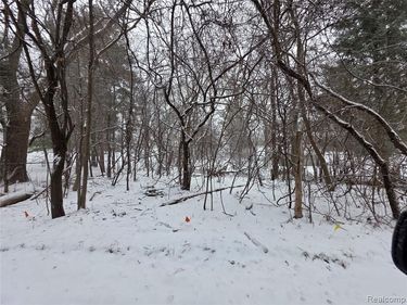 2375 Greenlawn Avenue, Bloomfield Twp, MI 48302