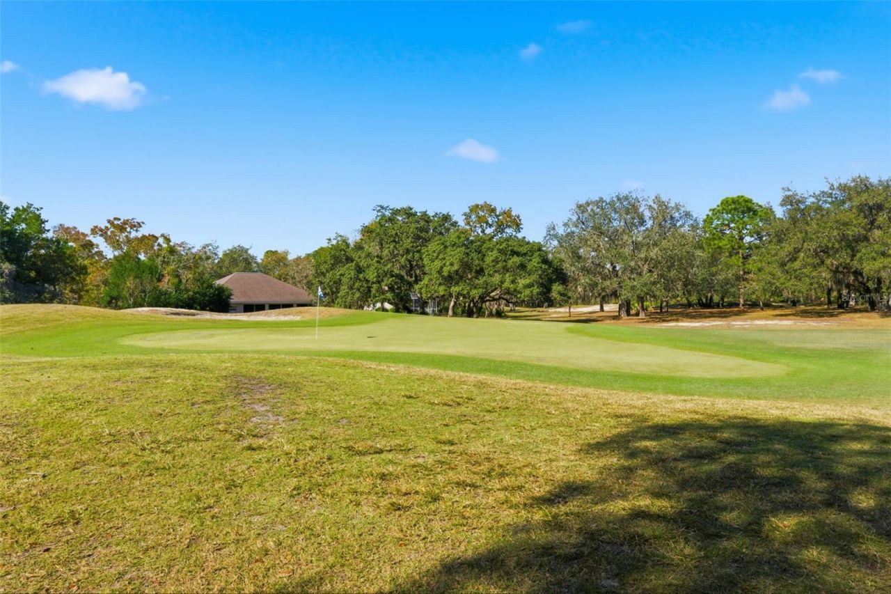 31 Ryewood Circle, Homosassa, FL 34446 Photo