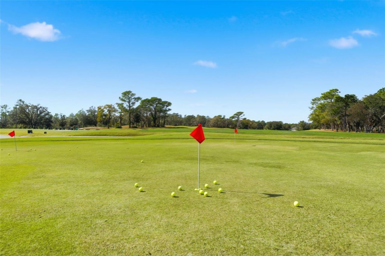 31 Ryewood Circle, Homosassa, FL 34446 Photo