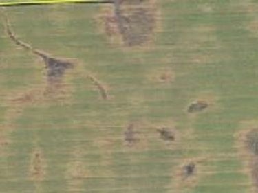 14409 560th Avenue, Donnelly, MN 56235