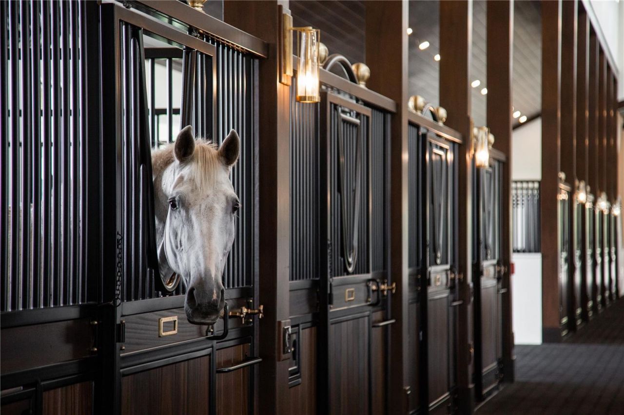 13825 Bilsdale Court, Myakka City, FL 34251 Photo