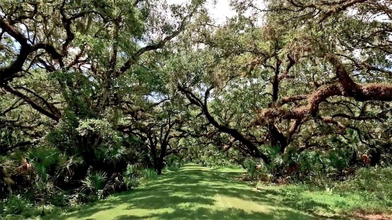 13825 Bilsdale Court, Myakka City, FL 34251 Photo