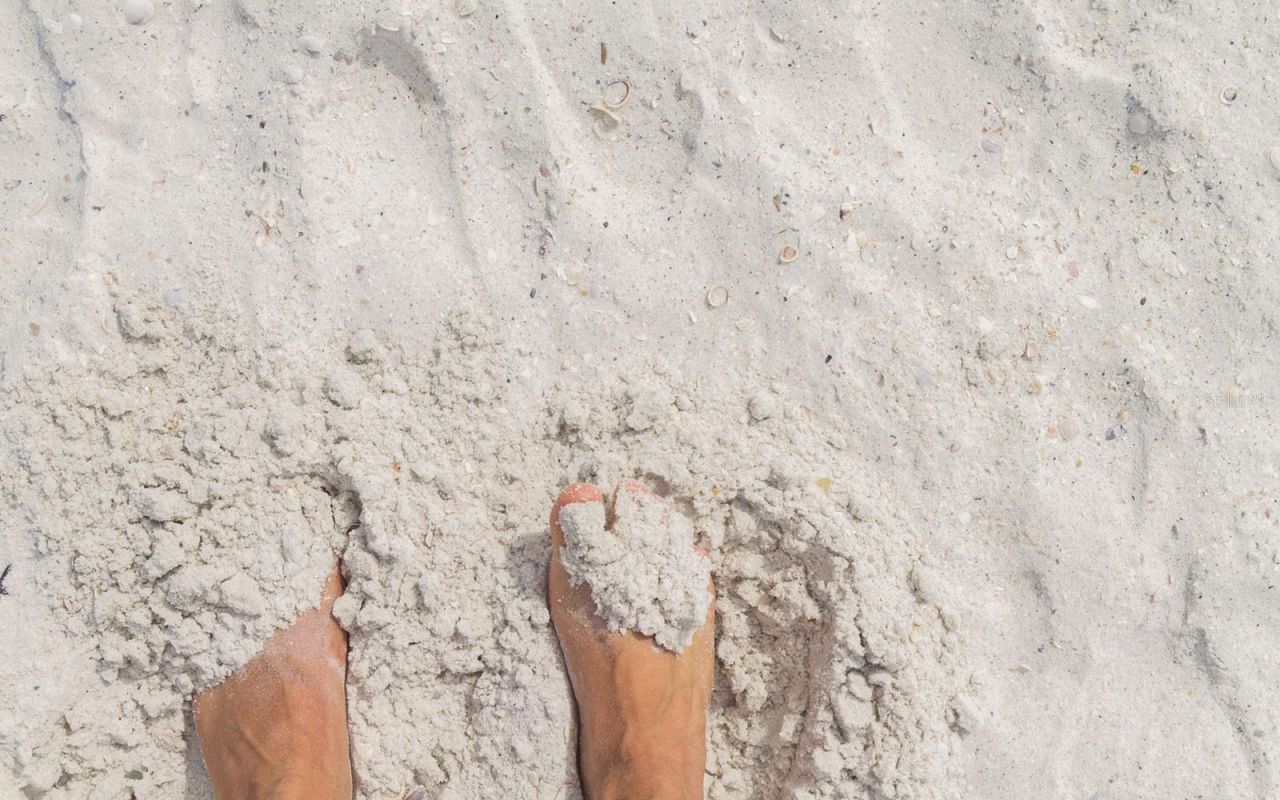 13825 Bilsdale Court, Myakka City, FL 34251 Photo