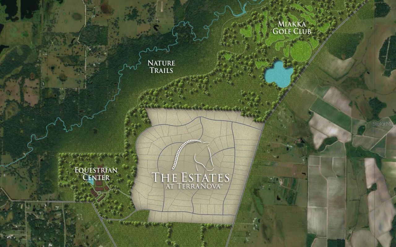 13825 Bilsdale Court, Myakka City, FL 34251 Photo