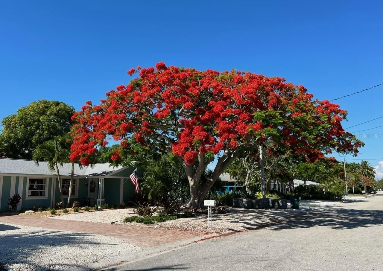 504 69th Street, Holmes Beach, FL 34217 Photo