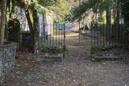 34 Pitt Street photo 4