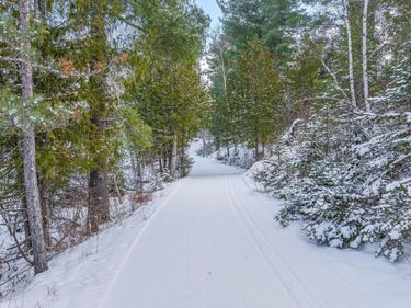 TBD Trezona Drive , Ely, MN 55731