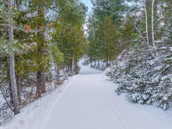 TBD Trezona Drive , Ely, MN 55731