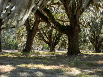 5 Mauricena Road, Georgetown, SC 29440