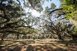 5 Mauricena Road photo 4