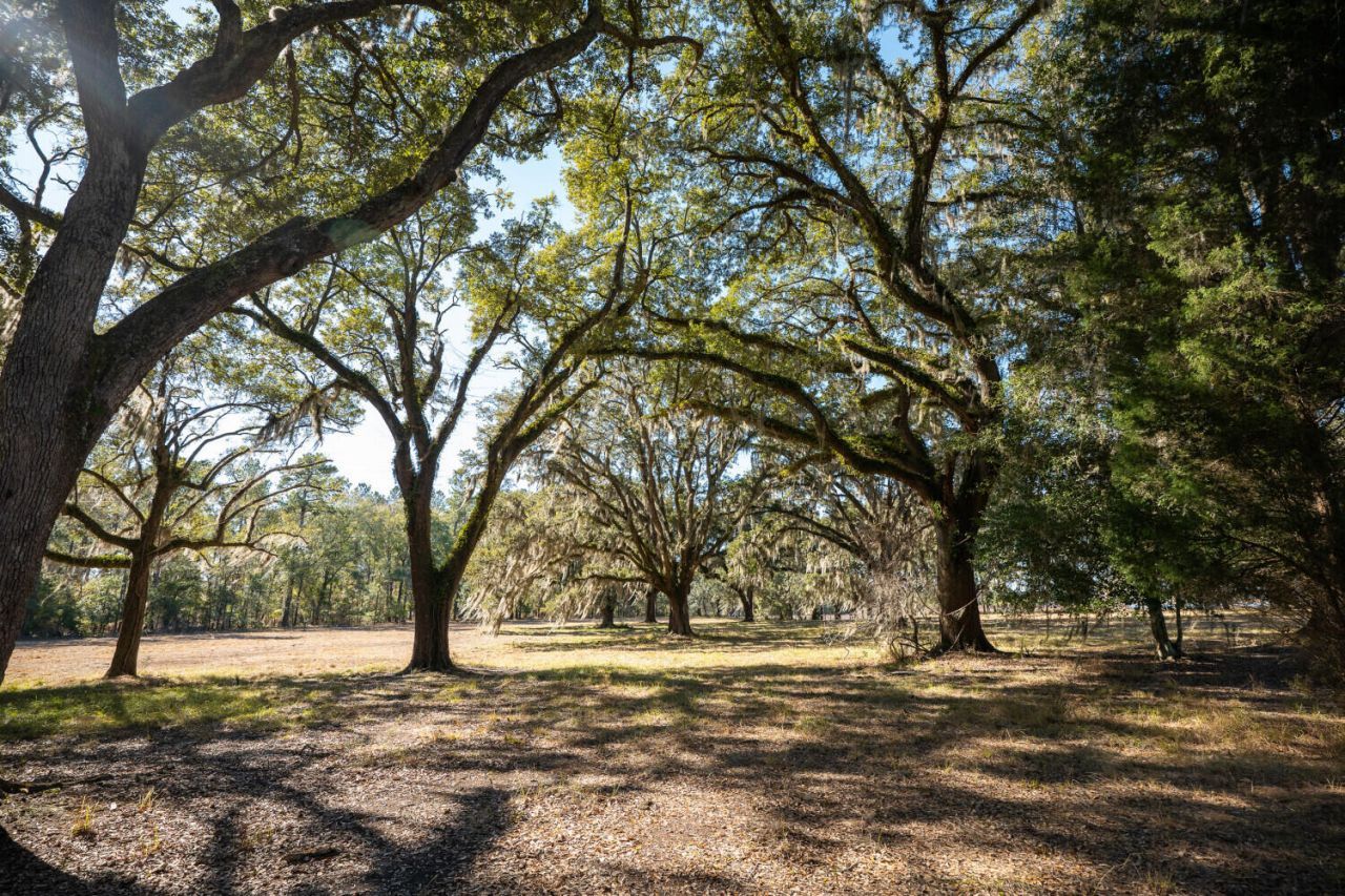 5 Mauricena Road Photo 4