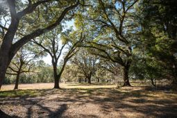 5 Mauricena Road photo 4