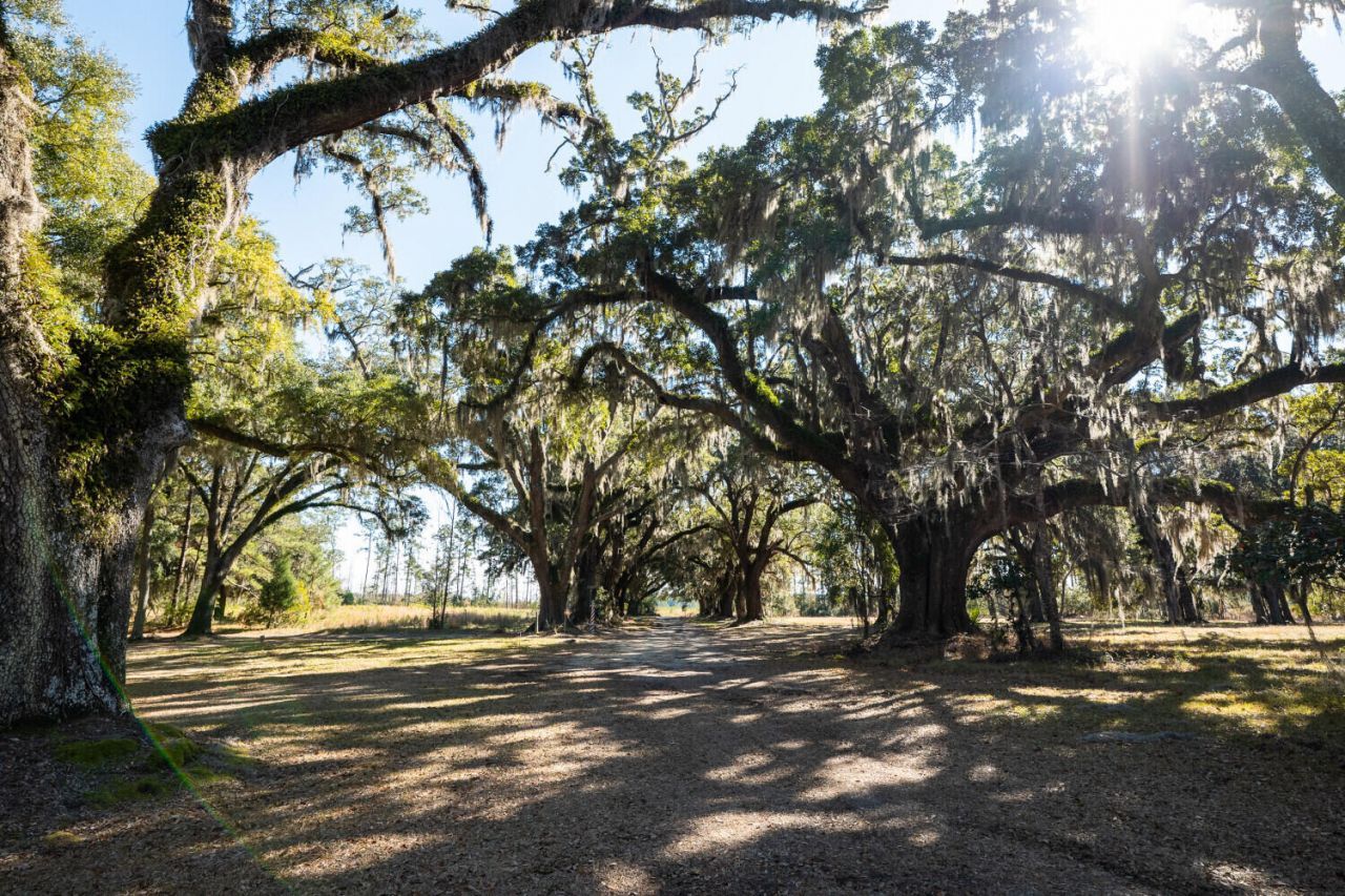 6 Mauricena Road Photo 12