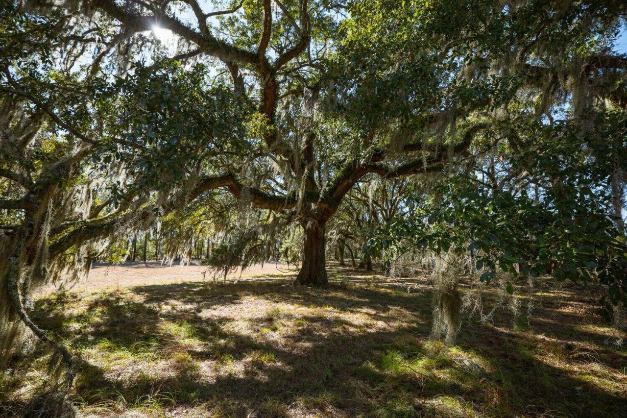 6 Mauricena Road Photo 15