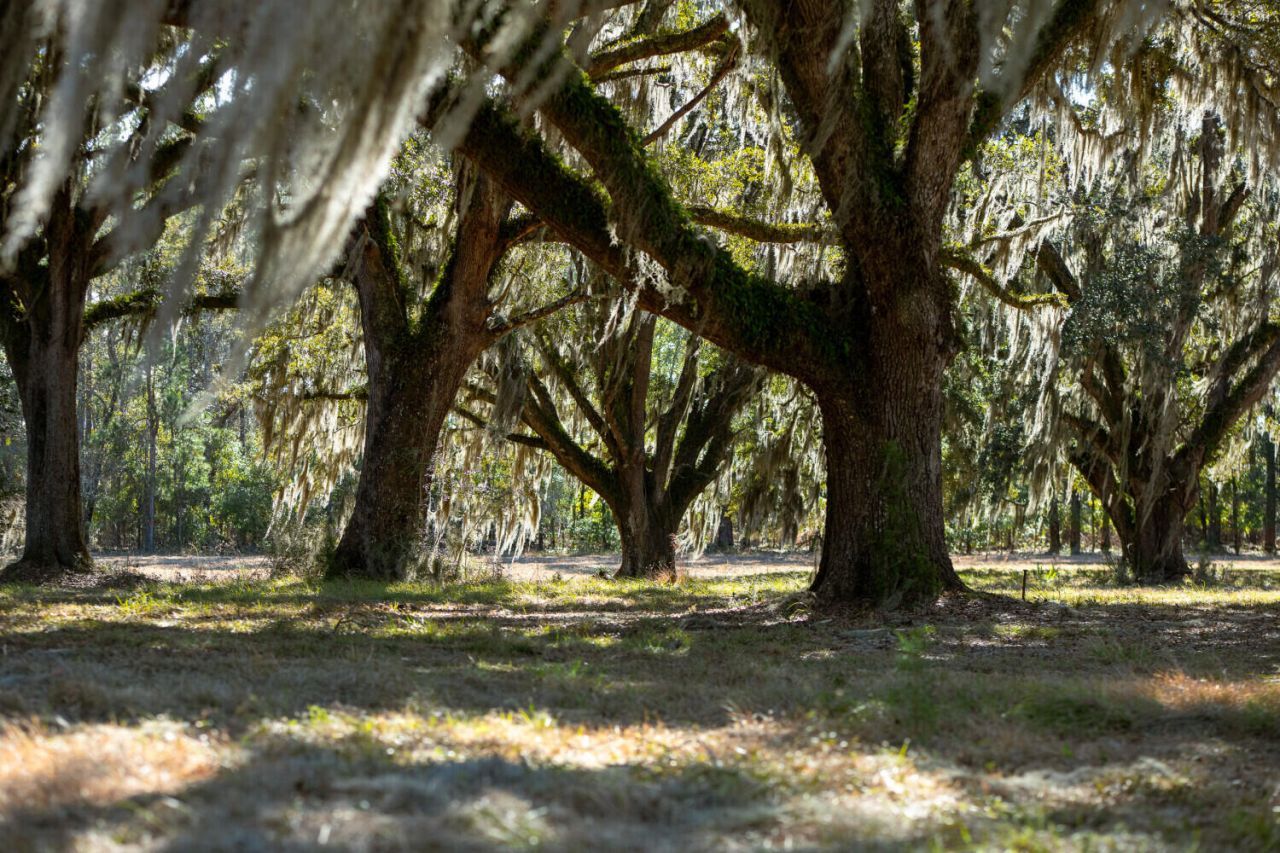 6 Mauricena Road Photo 4