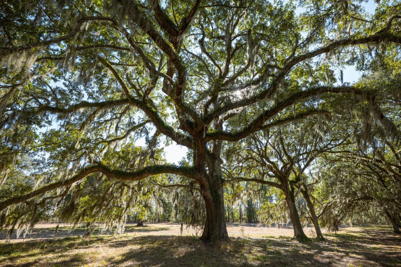 6 Mauricena Road Photo 6