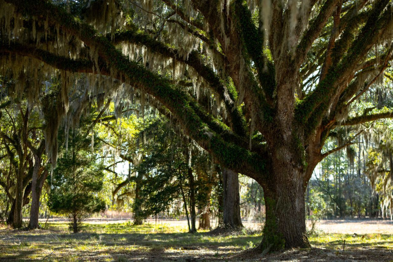 6 Mauricena Road Photo 9