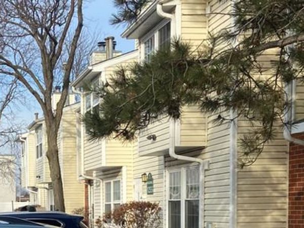 1255 WYNDHAM Drive, Unit 201, Palatine, IL 60074