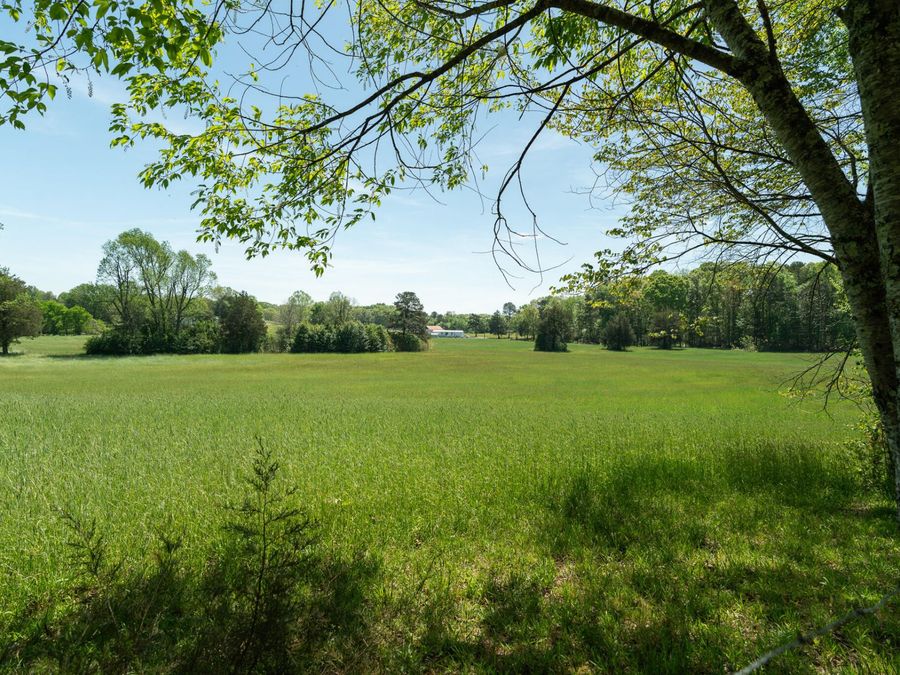 Property Image 68
