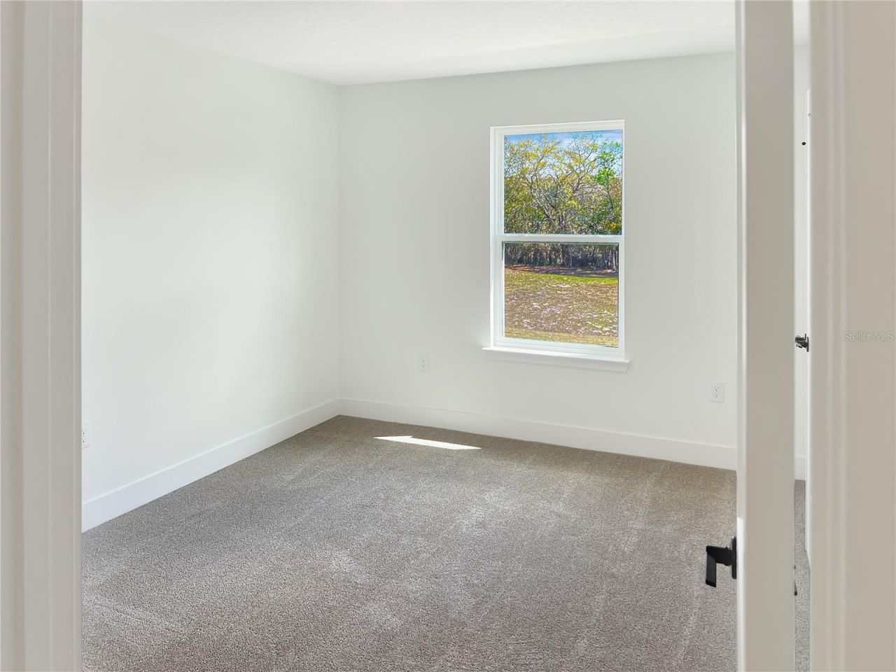 1619 Ann Rose Way, Leesburg, FL 34748 Photo