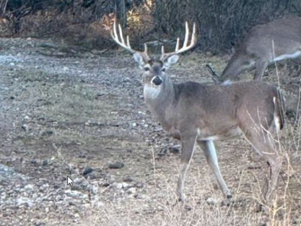 1218 Private Road 1377, Lampasas, TX 76550