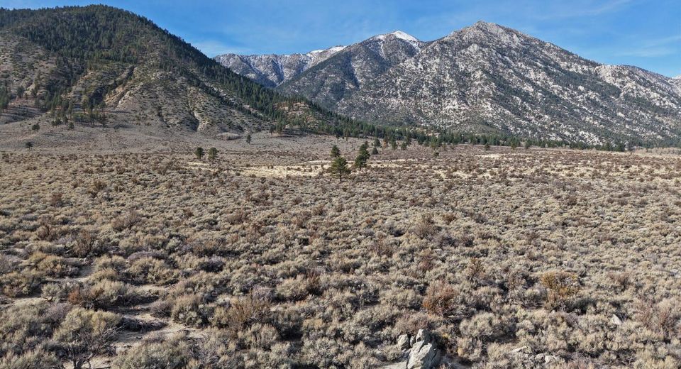 1 Foothill Road, Markleeville, CA 96120 Photo