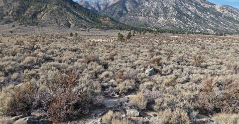 1 Foothill Road, Markleeville, CA 96120 Photo