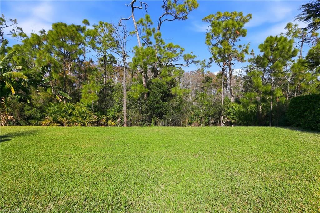 11273 Red Bluff Ln, Fort Myers, FL 33912 Photo