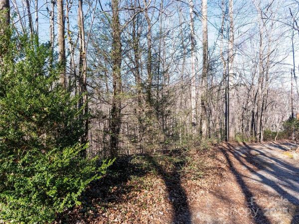 00 Mountain Page Road, Saluda, NC 28773