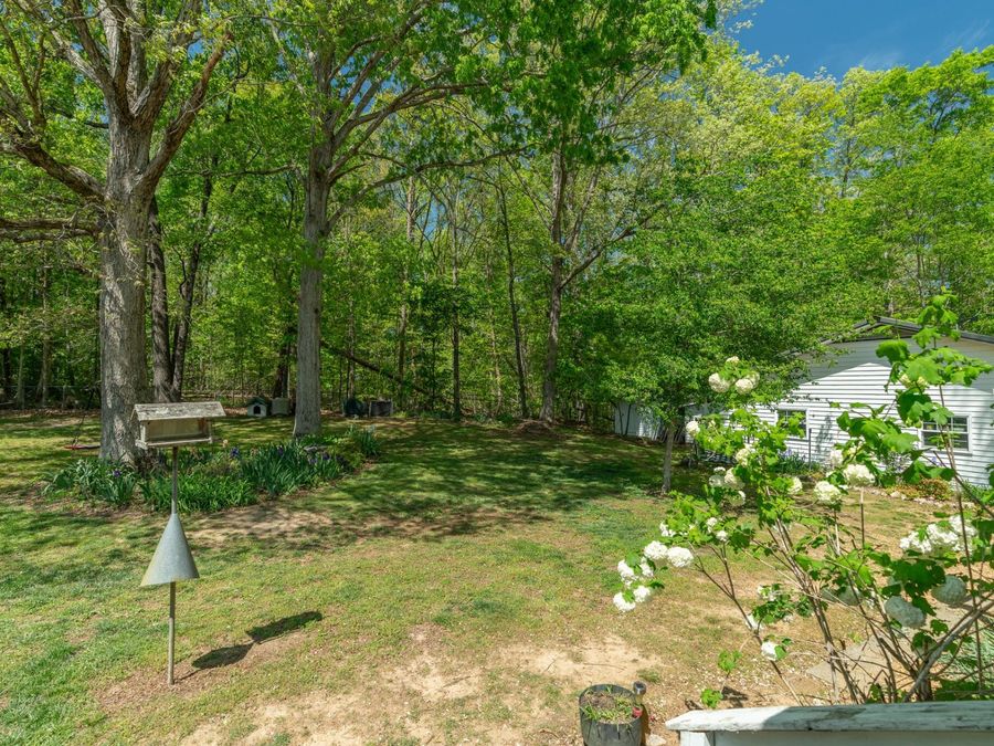 Property Image 53