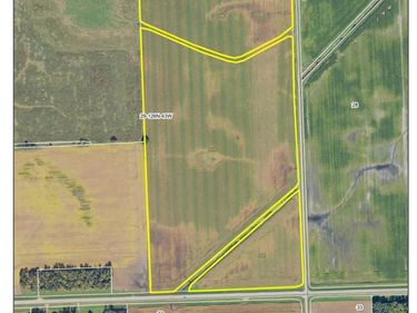 Section 29 Donnelly Township, Donnelly, MN 56235