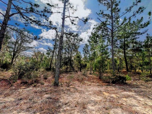 Cherry St, Interlachen, FL 32148