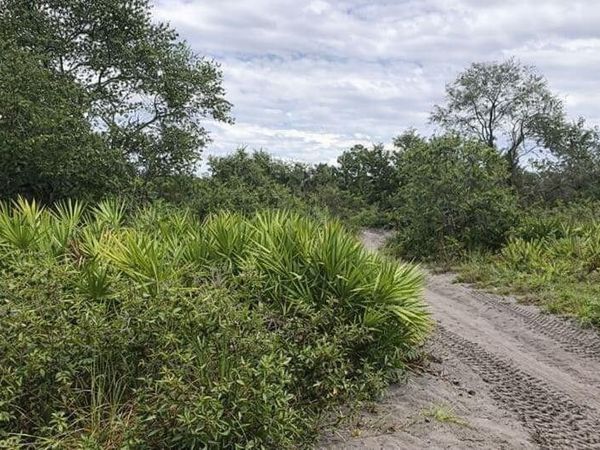 0 Alturas Babson Park Cutoff Road, Lake Wales, FL 33859