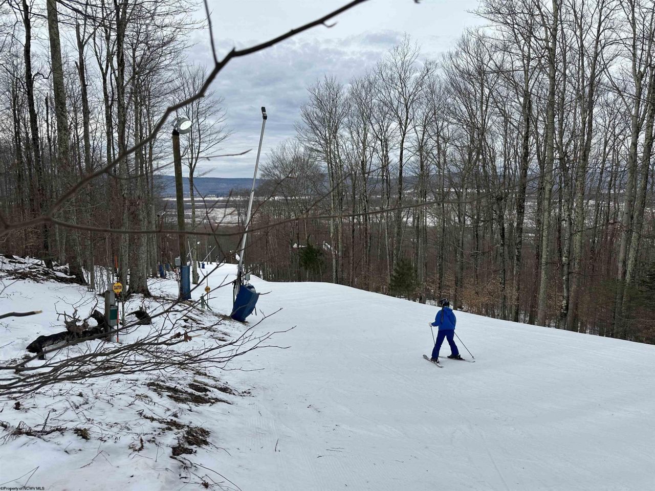 Lot 83 Hillside Drive, Davis, WV 26260 Main Photo