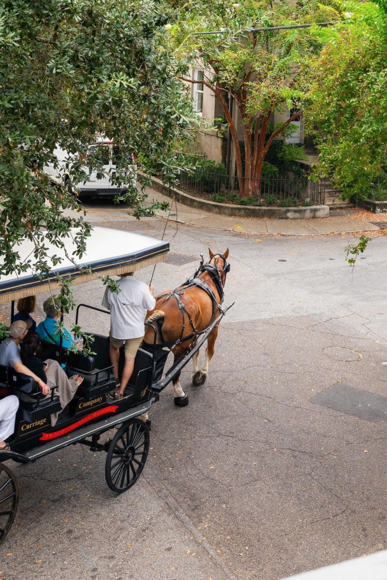 41 Legare Street Photo 35