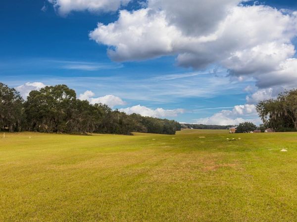 17520 SE 159TH TERRACE, WEIRSDALE, FL 32195