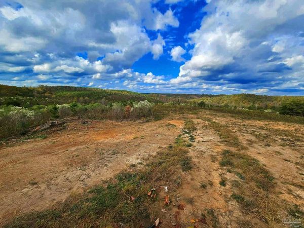 0 County Rd 79, Waterloo, AL 36577