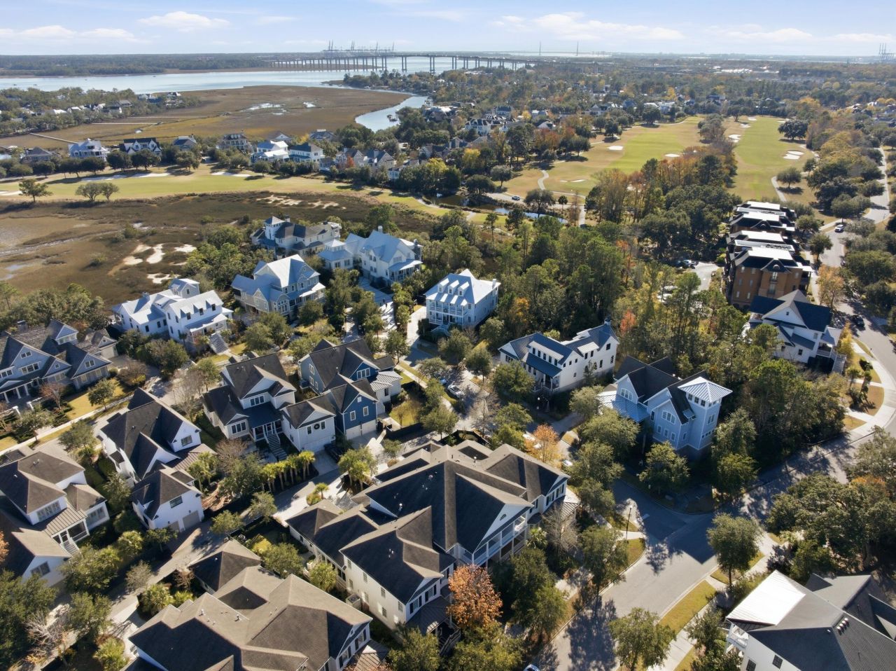 278 Island Park Drive Photo 50